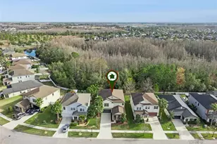 8816 Shady Pavillion Ct, Land O Lakes, FL 34637 - Photo 51