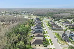 8816 Shady Pavillion Ct, Land O Lakes, FL 34637 - Photo 51