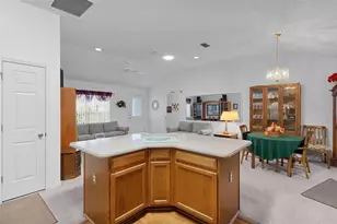 1115 Salido Ave, The Villages, FL 32159 - Photo 9