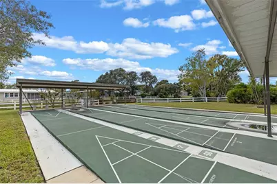 459 Peace Road, Tavares, FL 32778 - Photo 41