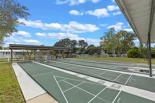 459 Peace Rd, Tavares, FL 32778 - Photo 41