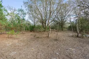 12264 NE 139 Pl, Fort Mc Coy, FL 32134 - Photo 21