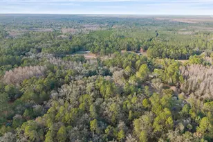 12264 NE 139 Pl, Fort Mc Coy, FL 32134 - Photo 33