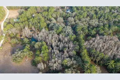 12264 NE 139th Place, Fort Mc Coy, FL 32134 - Photo 37