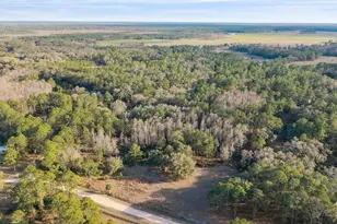 12264 NE 139 Pl, Fort Mc Coy, FL 32134 - Photo 29