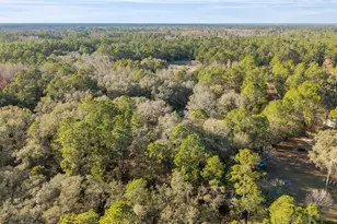 12264 NE 139 Pl, Fort Mc Coy, FL 32134 - Photo 25