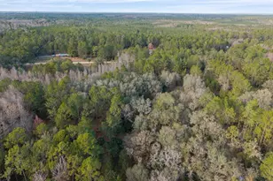 12264 NE 139 Pl, Fort Mc Coy, FL 32134 - Photo 41