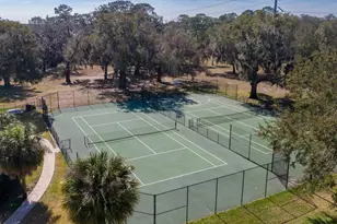 33803 Terragona Dr, Sorrento, FL 32776 - Photo 43