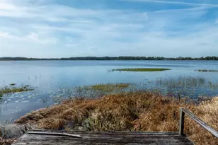 8822 Winter Garden Vineland Rd, Orlando, FL 32836 - Photo 7