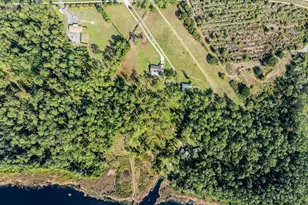 8822 Winter Garden Vineland Rd, Orlando, FL 32836 - Photo 17
