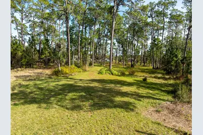 8822 Winter Garden Vineland Road, Orlando, FL 32836 - Photo 17