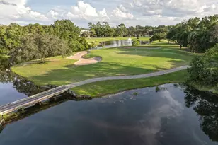 9008 Heathland Ct, Mount Dora, FL 32757 - Photo 43