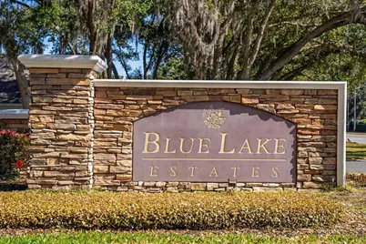 201 W Blue Water Edge Drive, Eustis, FL 32736 - Photo 69