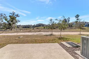 2596 Penguin Blvd, Davenport, FL 33837 - Photo 33