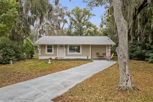 690 E Jackson Ave, Mount Dora, FL 32757 - Photo 1