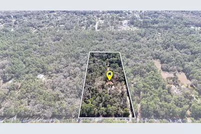 3490 SE 193rd Place, Yankeetown, FL 34498 - Photo 69