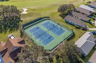 8032 Pine Hollow Dr, Mount Dora, FL 32757 - Photo 29
