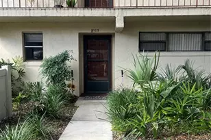 4300 Baywood Blvd, Mount Dora, FL 32757 - Photo 1