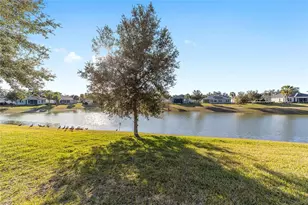 10161 Julia Isles Ave, Oxford, FL 34484 - Photo 41