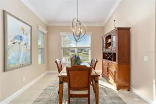 10161 Julia Isles Ave, Oxford, FL 34484 - Photo 11