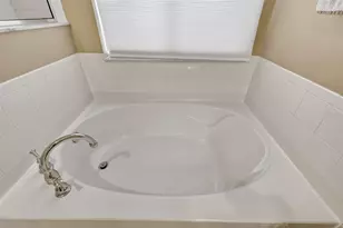 224 Black Springs Ln, Winter Garden, FL 34787 - Photo 25