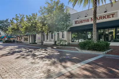 500 E Gottsche Avenue, Eustis, FL 32726 - Photo 25