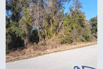 Mulberry Street, Groveland, FL 34736 - Photo 1