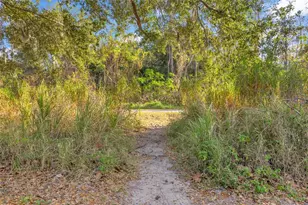 906 Allendale Ln, Winter Garden, FL 34787 - Photo 59