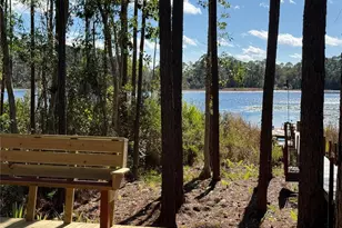 27834 Veva Ave, Paisley, FL 32767 - Photo 41