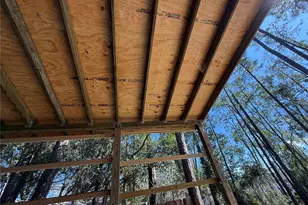 27834 Veva Ave, Paisley, FL 32767 - Photo 37