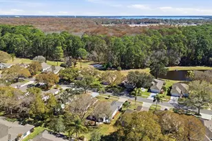 309 Baytree Blvd, Tavares, FL 32778 - Photo 27