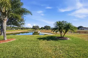 26728 White Plains Way, Leesburg, FL 34748 - Photo 3