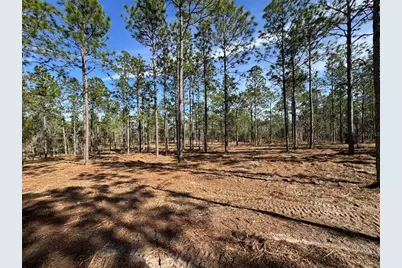 Sw Obee Ridge Road, Dunnellon, FL 34431 - Photo 9