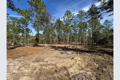 Sw Obee Ridge Road, Dunnellon, FL 34431 - Photo 7