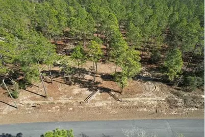 Sw Obee Ridge Road, Dunnellon, FL 34431 - Photo 3