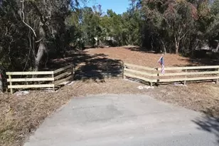 Azalea Ave, Paisley, FL 32767 - Photo 1