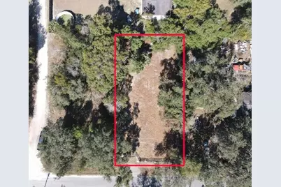 Azalea Avenue, Paisley, FL 32767 - Photo 3