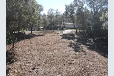 Azalea Avenue, Paisley, FL 32767 - Photo 7