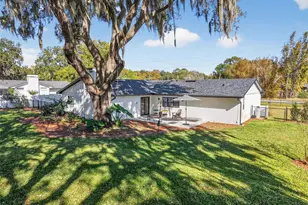 241 Bay Rd, Mount Dora, FL 32757 - Photo 45
