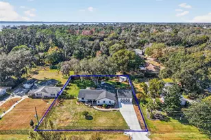 241 Bay Rd, Mount Dora, FL 32757 - Photo 49