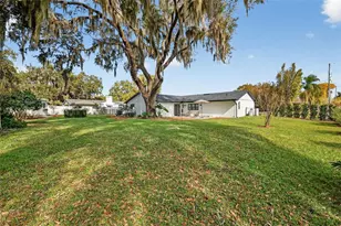 241 Bay Rd, Mount Dora, FL 32757 - Photo 41