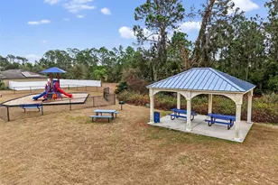 12058 Callicarpa Ln, Leesburg, FL 34788 - Photo 27