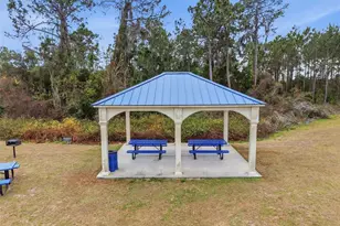 12058 Callicarpa Ln, Leesburg, FL 34788 - Photo 29