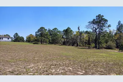 15971 SE 108th Loop, Ocklawaha, FL 32179 - Photo 21