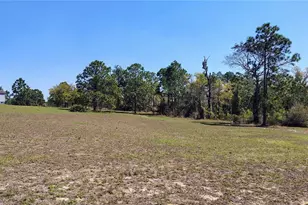 15971 SE 108 Loop, Ocklawaha, FL 32179 - Photo 21