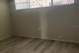 4300 Baywood Blvd, Mount Dora, FL 32757 - Photo 9