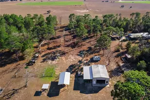 2495 County Rd 245D, Oxford, FL 34484 - Photo 45