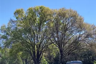 14016 N Hwy 301, Thonotosassa, FL 33592 - Photo 3