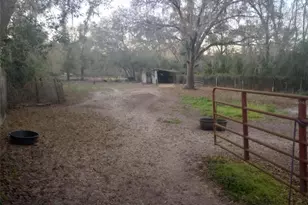 14016 N Hwy 301, Thonotosassa, FL 33592 - Photo 3