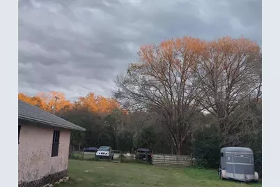 14016 N. Hwy 301, Thonotosassa, FL 33592 - Photo 11